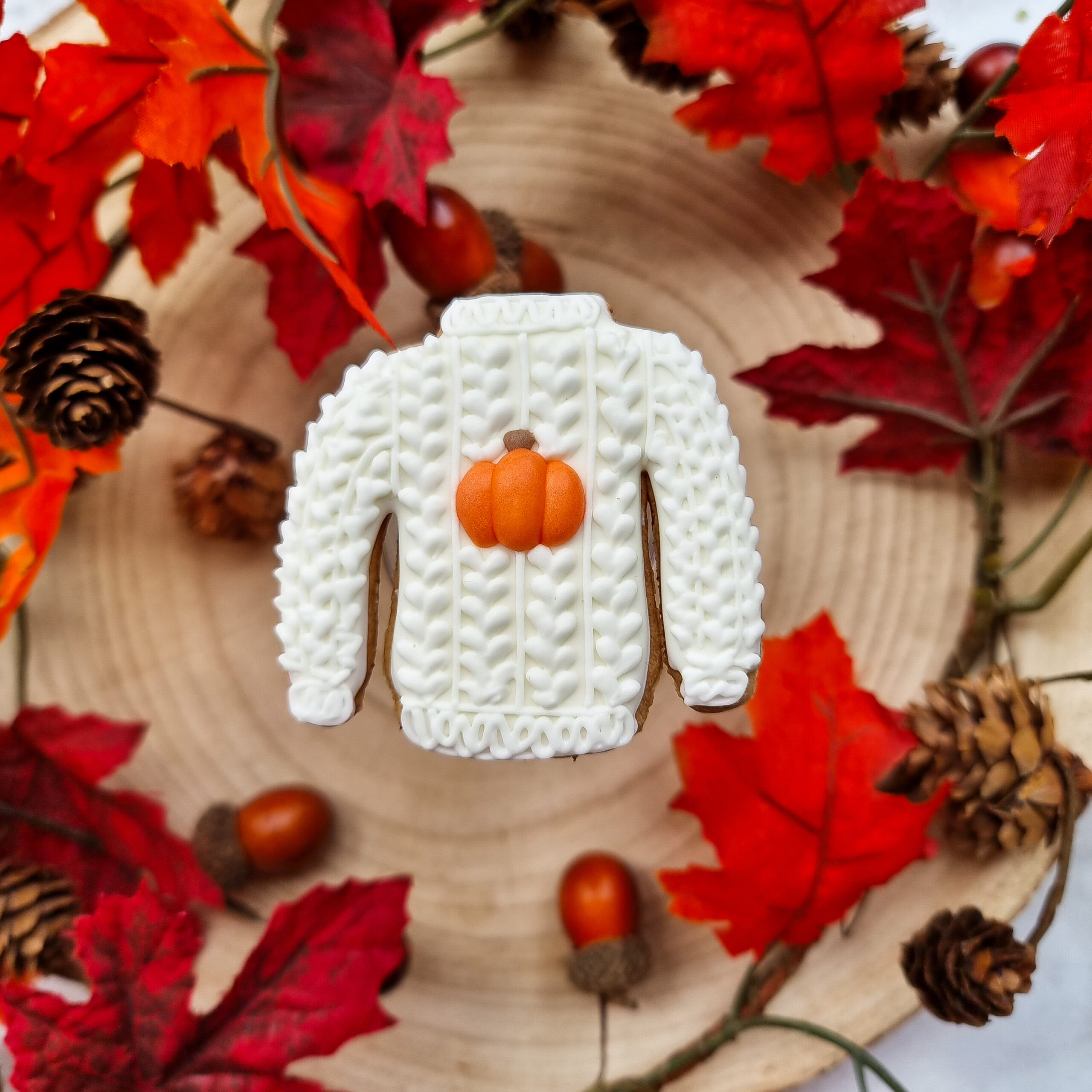 Jesienny sweter